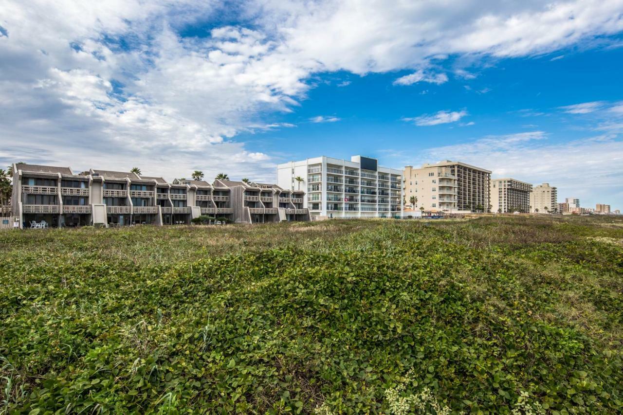 Palm Tree Escape Apartment South Padre Island Ngoại thất bức ảnh