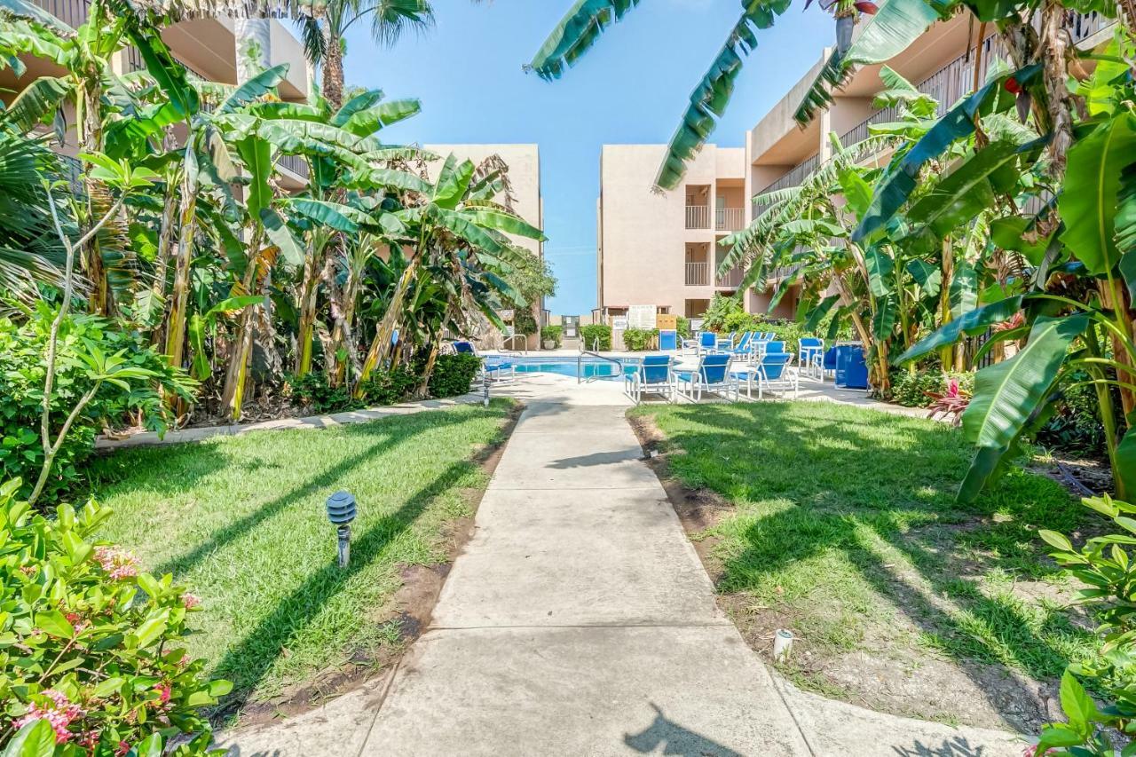 Palm Tree Escape Apartment South Padre Island Ngoại thất bức ảnh