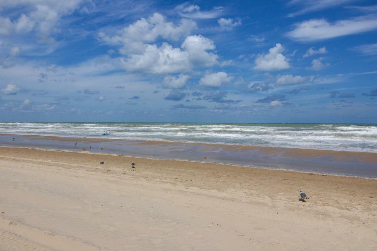 Palm Tree Escape Apartment South Padre Island Ngoại thất bức ảnh