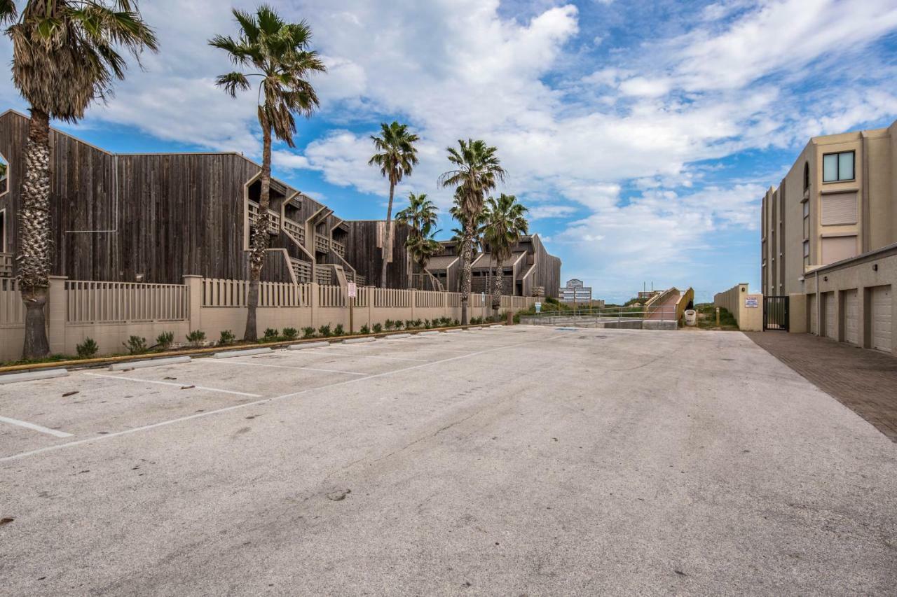 Palm Tree Escape Apartment South Padre Island Ngoại thất bức ảnh