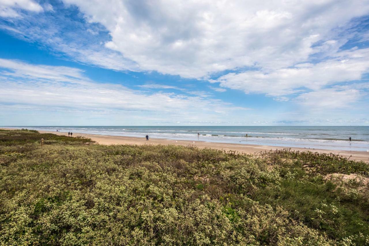 Palm Tree Escape Apartment South Padre Island Ngoại thất bức ảnh
